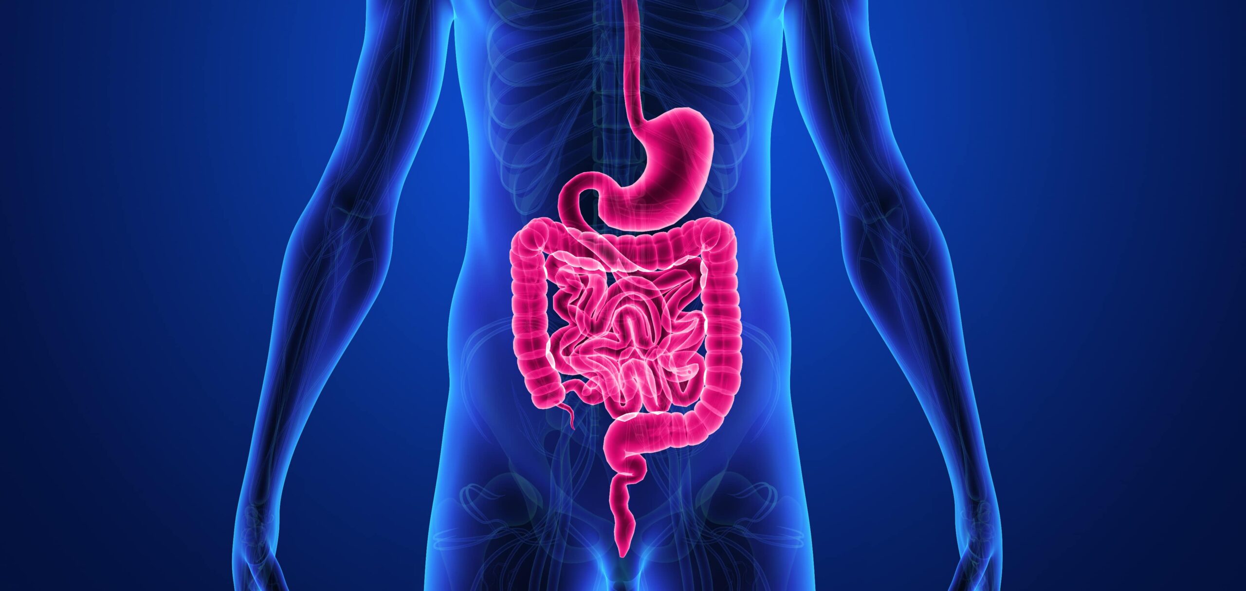 Prebiotics and the Microbiota