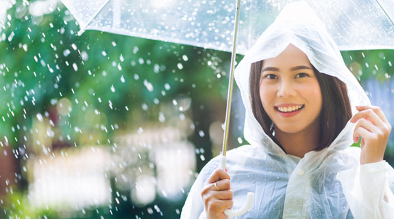 Chicory root fiber strengthens immune defense