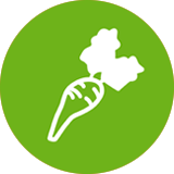 icon dietaryfiber prebiotic fiber