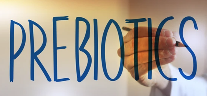 What exactly is a prebiotic?