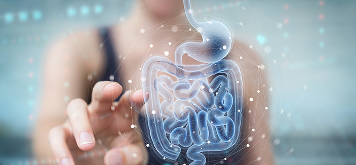 Prebiotic benefits of chicory root fibers