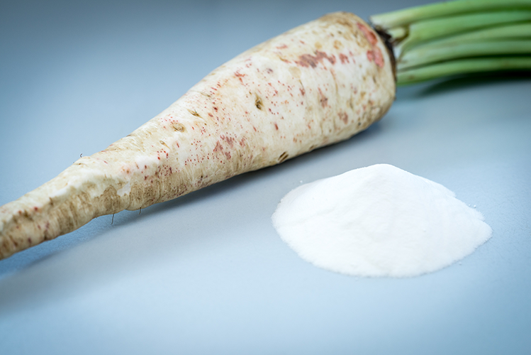Chicory root with white fiber powder